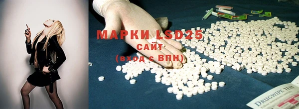 мяу мяу кристалл Богданович